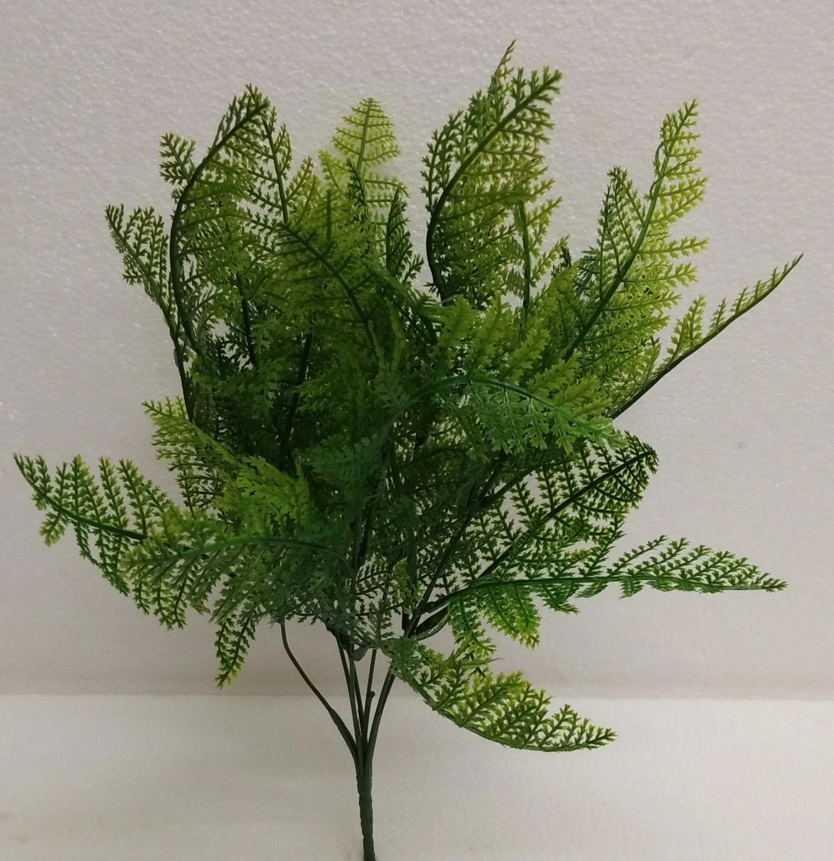 Kolkatta Leaves x1 Bunch x7